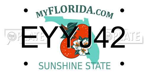 EYYJ42 Florida License Plate
