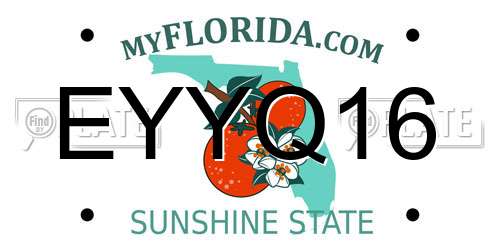 EYYQ16 Florida License Plate