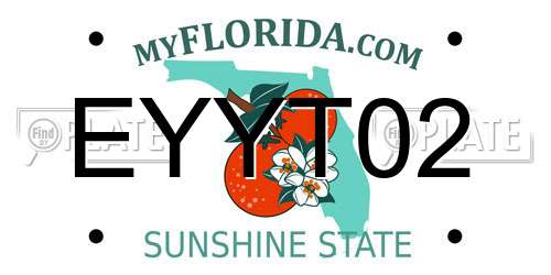 EYYT02 Florida License Plate