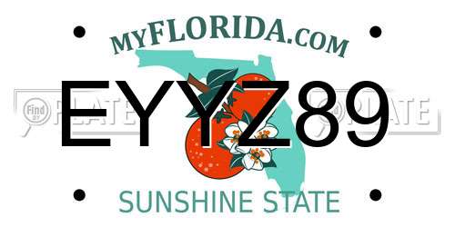 EYYZ89 Florida License Plate