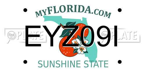 EYZ09I Florida License Plate