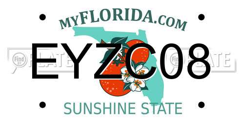 EYZC08 Florida License Plate