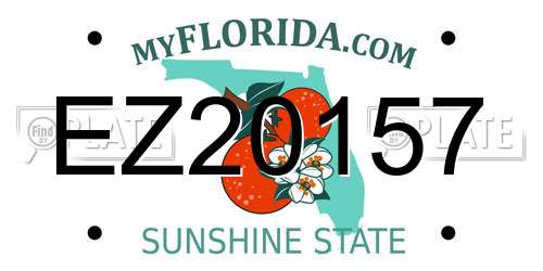 EZ20157 Florida License Plate