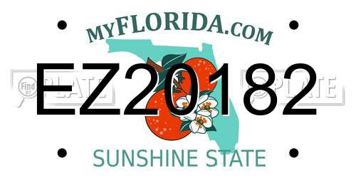 EZ20182 Florida License Plate
