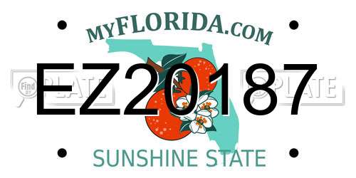 EZ20187 Florida License Plate