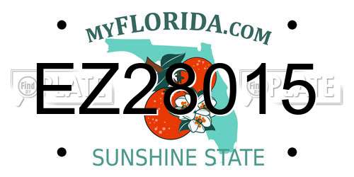EZ28015 Florida License Plate