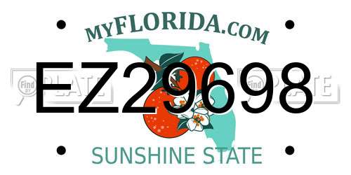 EZ29698 Florida License Plate