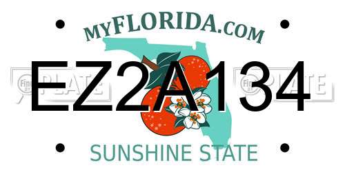 EZ2A134 Florida License Plate