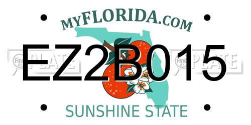 EZ2B015 Florida License Plate