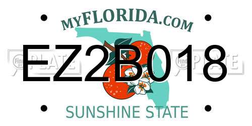EZ2B018 Florida License Plate