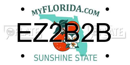EZ2B2B Florida License Plate