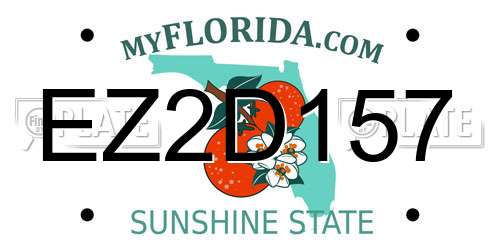 EZ2D157 Florida License Plate
