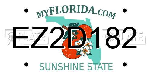 EZ2D182 Florida License Plate