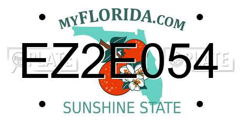 EZ2E054 Florida License Plate
