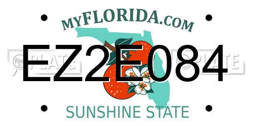 EZ2E084 Florida License Plate