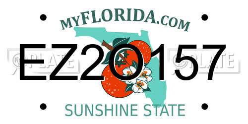 EZ2O157 Florida License Plate