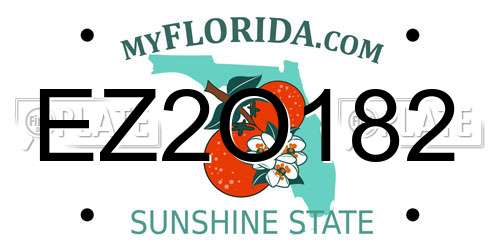 EZ2O182 Florida License Plate
