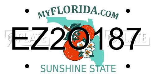 EZ2O187 Florida License Plate