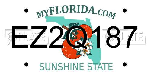 EZ2Q187 Florida License Plate