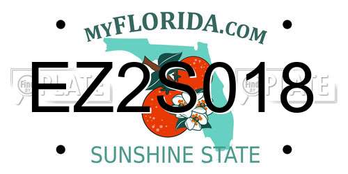 EZ2S018 Florida License Plate