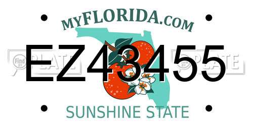 EZ43455 Florida License Plate