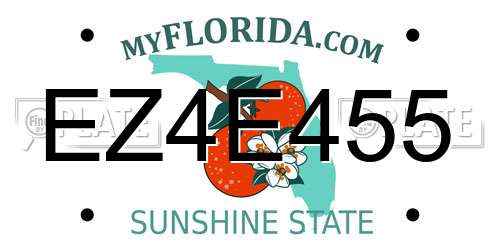 EZ4E455 Florida License Plate