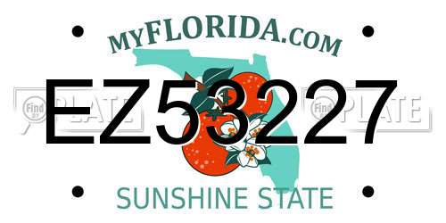 EZ53227 Florida License Plate