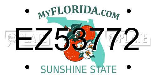 EZ53772 Florida License Plate
