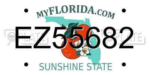EZ55682 Florida License Plate