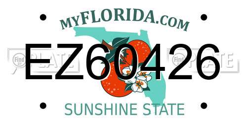 EZ60426 Florida License Plate