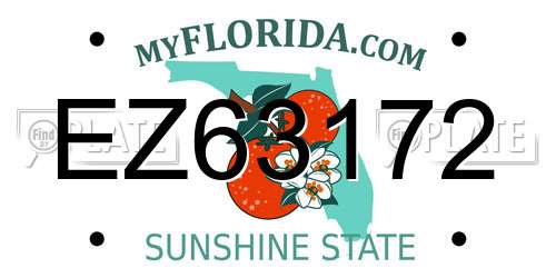 EZ63172 Florida License Plate
