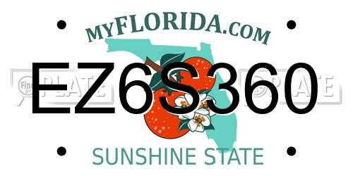EZ6S360 Florida License Plate