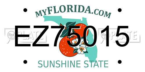 EZ75015 Florida License Plate