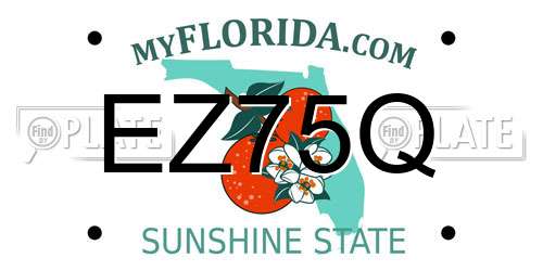 EZ75Q Florida License Plate