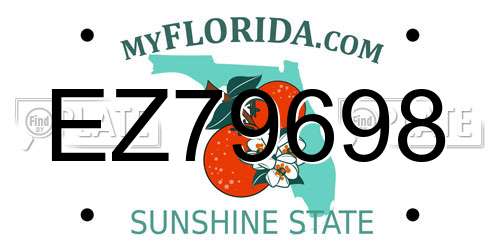EZ79698 Florida License Plate