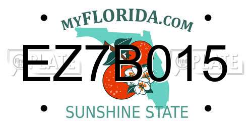 EZ7B015 Florida License Plate