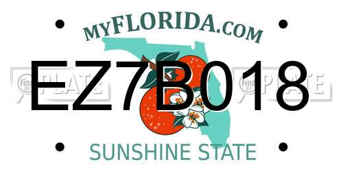 EZ7B018 Florida License Plate