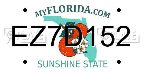 EZ7D152 Florida License Plate