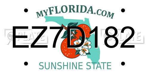EZ7D182 Florida License Plate