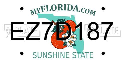 EZ7D187 Florida License Plate