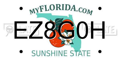 EZ8G0H Florida License Plate