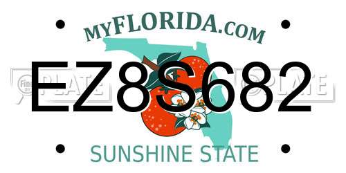 EZ8S682 Florida License Plate