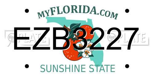 EZB3227 Florida License Plate