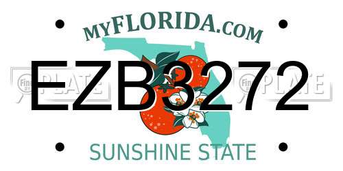 EZB3272 Florida License Plate
