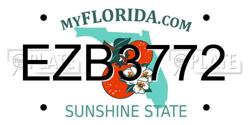 EZB3772 Florida License Plate