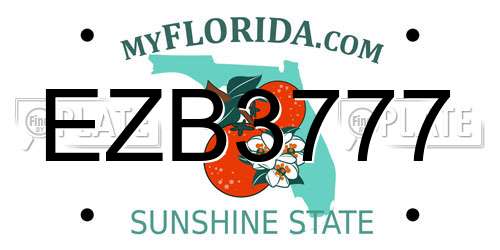 EZB3777 Florida License Plate
