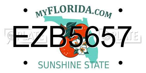 EZB5657 Florida License Plate