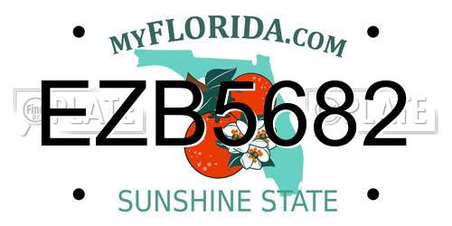 EZB5682 Florida License Plate