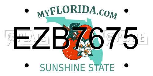 EZB7675 Florida License Plate