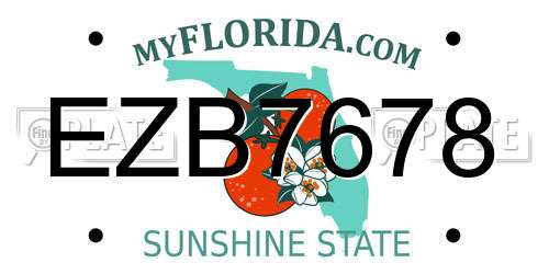 EZB7678 Florida License Plate